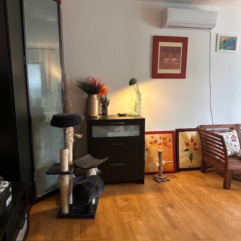 13 Septembrie /Botorani